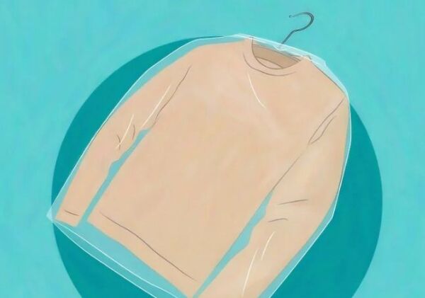 ▷ Bolsas de plastico para la ropa polillas de armario ▷【 EliminarBichos.es 🥇】.jpg